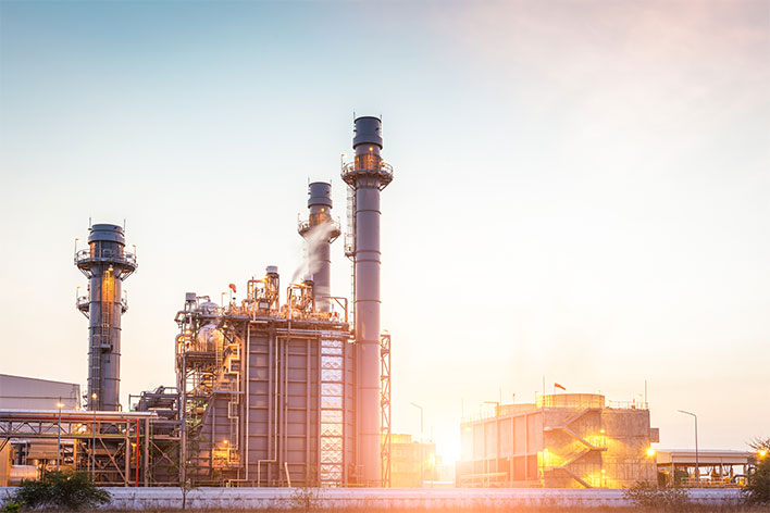 From our 2018 Summer Fair