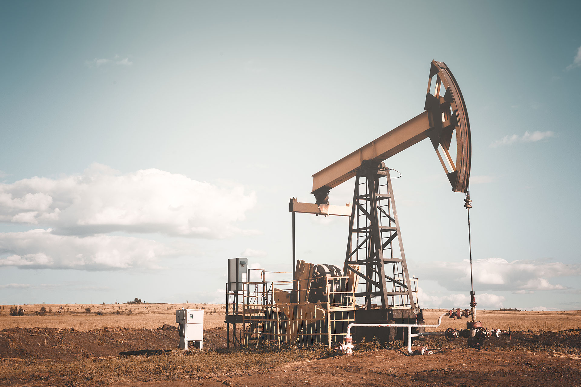 2019 New Product Introduction